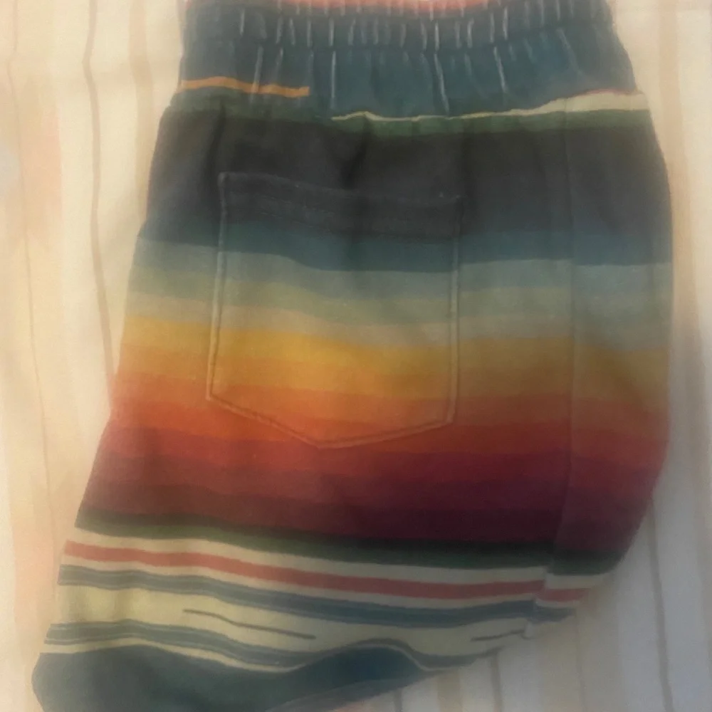 Aviator Nation Multicolor Striped Shorts - Picture 3 of 3